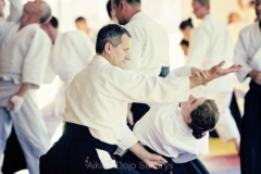 2012-07-Hombu Dojo Instruction Tour seminaras, Vilniuje