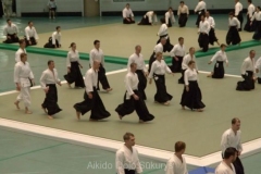 2014 Lietuvos Aikido rinktinės pasirodymas Japonijoje